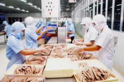 Vietnam's canned tuna exports to the US increased